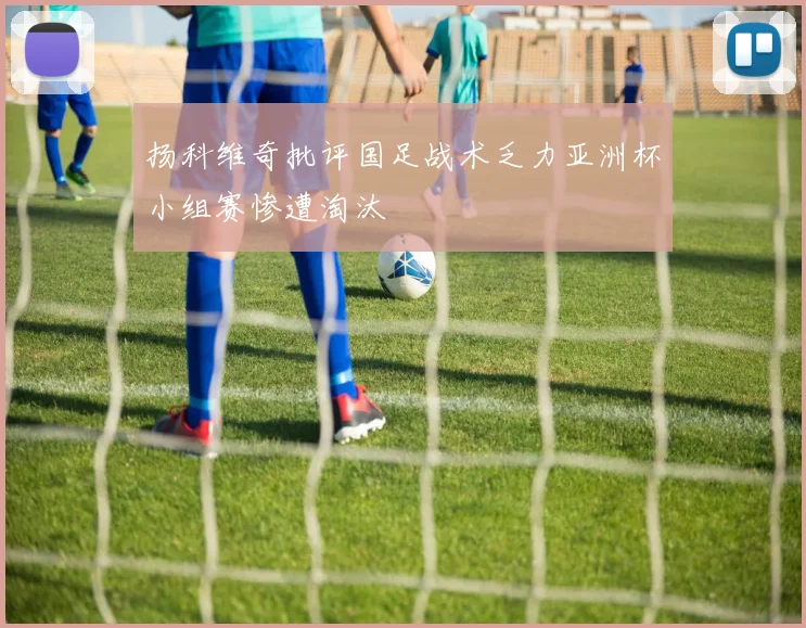 扬科维奇批评国足战术乏力亚洲杯小组赛惨遭淘汰