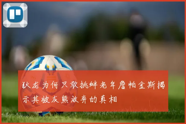 狄龙为何只敢挑衅老年詹帕金斯揭示其被灰熊放弃的真相