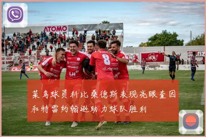 菜鸟球员科比桑德斯表现亮眼奎因和特雷约翰逊助力球队胜利